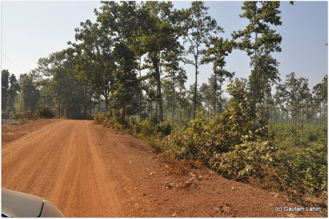 Left hand holding the steering, my right hand pushed out of the window to catch slightest of any movement ahead in Jypur jungle, Bankura by Gautam Lahiri