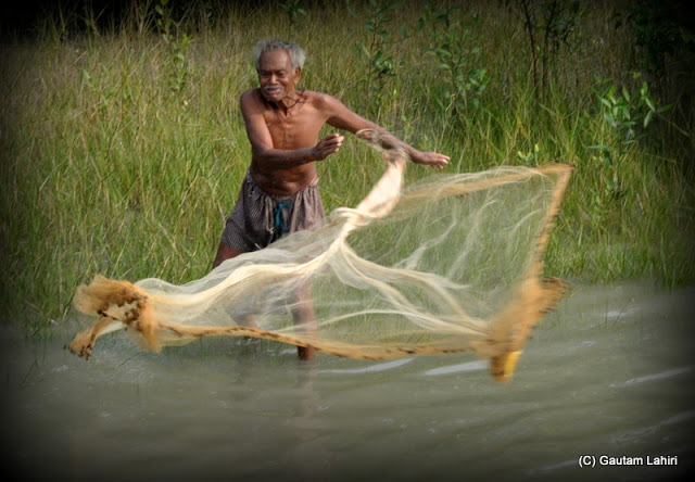 The deft hands of a fisherman swirls the net that canopies over a water area to trap fishes and prawns  at Sunderbans National Park, West Bengal, India by Gautam Lahiri
