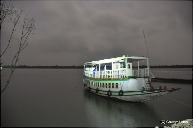 Our House boat shot in the night with a powerful torchlight. You can see the dense forest on the horizon under a moon light night  at Sunderbans National Park, West Bengal, India by Gautam Lahiri