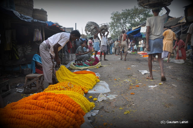 Rolls of Tagetes being kept by sellers to woo customers  at Kolkata, West Bengal, India by Gautam Lahiri
