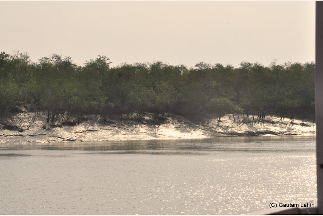 The sun rays reflect off the shinning bank of receding water and mud  at Sunderbans National Park, West Bengal, India by Gautam Lahiri