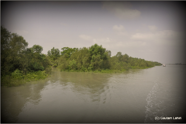 Our house boat following another one along its wake, we closed in on the bank hoping against hope to see any form of wild life from the comfort of the slowly moving vessel  at Sunderbans National Park, West Bengal, India by Gautam Lahiri