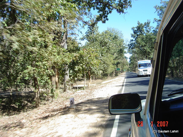 Within the buffer zone, as we neared the Kisli gate, Kanha from Nagpur by Gautam Lahiri