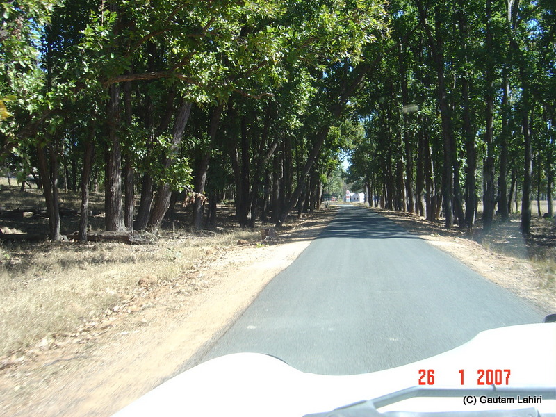 Driving the final stretch into Kisli entry gate as we eat kilometers into Kanha wild life sanctuary by Gautam Lahiri