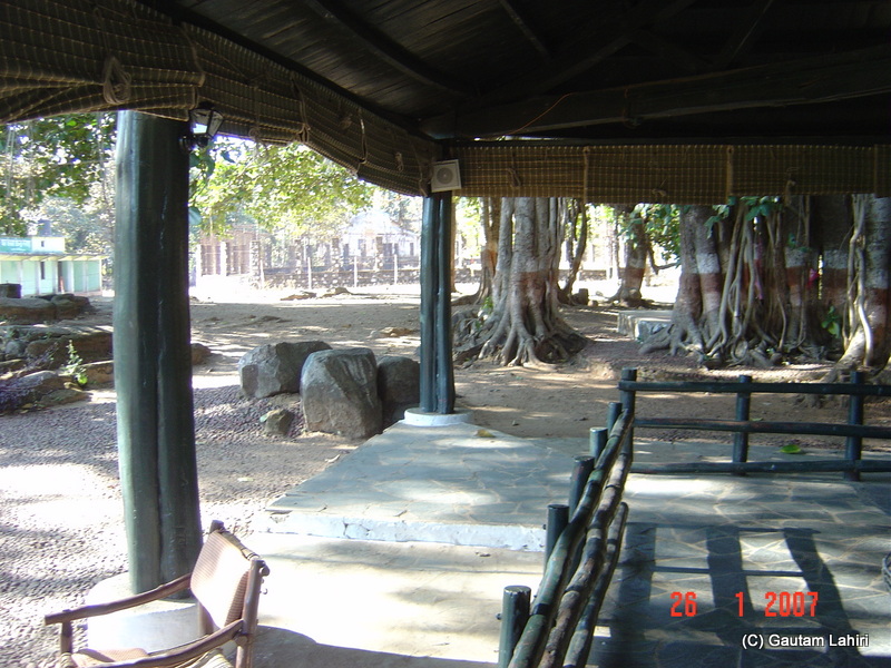 Bamboo, cane, and wooden furniture formed the backbone for the sitting arrangement. Tall peepal trees with its snaking branches spread a canopy from the sun. Although we felt the winter cold, I am sure in the summers, this area remains much cooler for its extensive tree inhabitants from Nagpur to Kanha forest reserve by Gautam Lahiri
