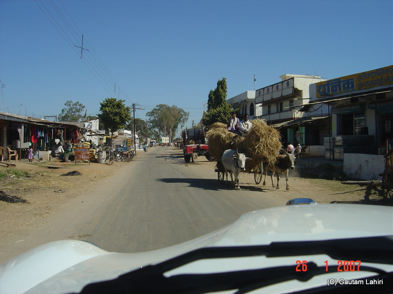 Tractors and cattle, forming the power train for the hay and wheat being shipped from the villages to the markets from Nagpur to Kanha forest reserve by Gautam Lahiri
