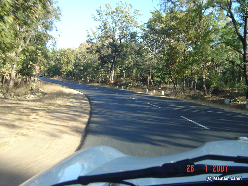 The Ambassador skirting the sides of the road as she flew over the road through Pench forest section towards Kanha forest reserve by Gautam Lahiri