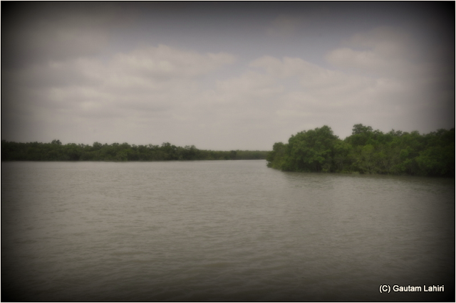 For miles around us, all we saw was placid river water and dense forest of mangrove and 'golpata' trees  at Sunderbans National Park, West Bengal, India by Gautam Lahiri
