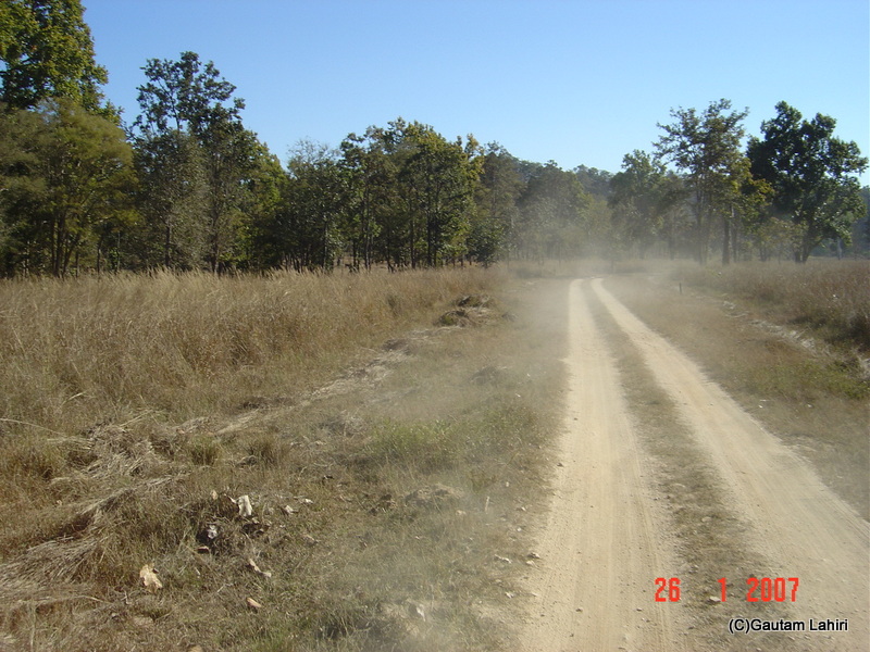 Kanha's national park and forests by gautam lahiri
