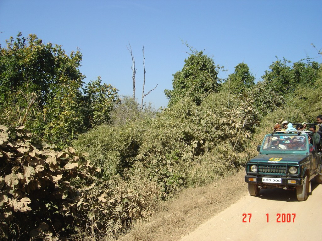 The dense close jungles of Kanha National Park by Gautam Lahiri