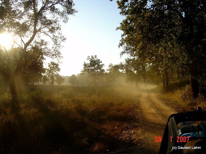 Whipped up dust from the tires formed a creamy haze catching the morning mist. The sun took out its brush to paint the forest at will in Kanha forest by Gautam Lahiri