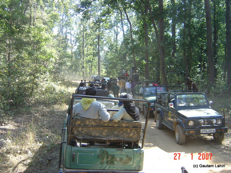 Congregation of Gypsies to see couple of Barasinghas. We waited and moved on as the mammals had moved out into the thick forest of Kanha forest reserve by GautamLahiri