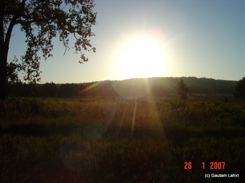 The young sun mildly glowed at the rim of the forest horizon drenching the tall grasses and trees with a mix of crimson and green light at Kanha forest by Gautam Lahiri