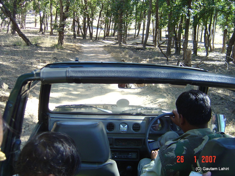 The long road lay in front of controlled wilderness.. expected to offer snippets of the wild inhabitants. We scoured the area as soon as we moved out of the Kisli gate entry in Kanha forest by Gautam Lahiri