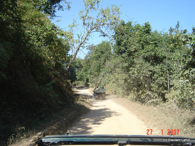 The forests closed inwards over the narrow road as we relentlessly drove through the Kanha forest's amazing woods by Gautam Lahiri