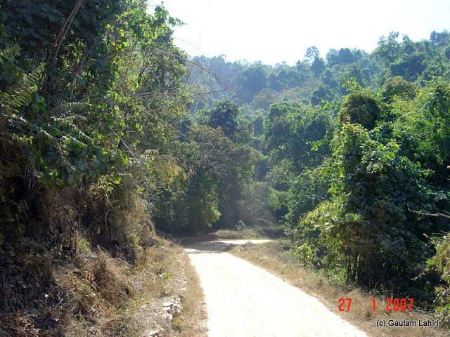 The sun glowed high above us and the deep and dense forest hung over the lower ridges of a knoll. As we turned right into the forest, darkness enveloped us as the trees blanked off the sun completely at Kanha forest by Gautam Lahiri