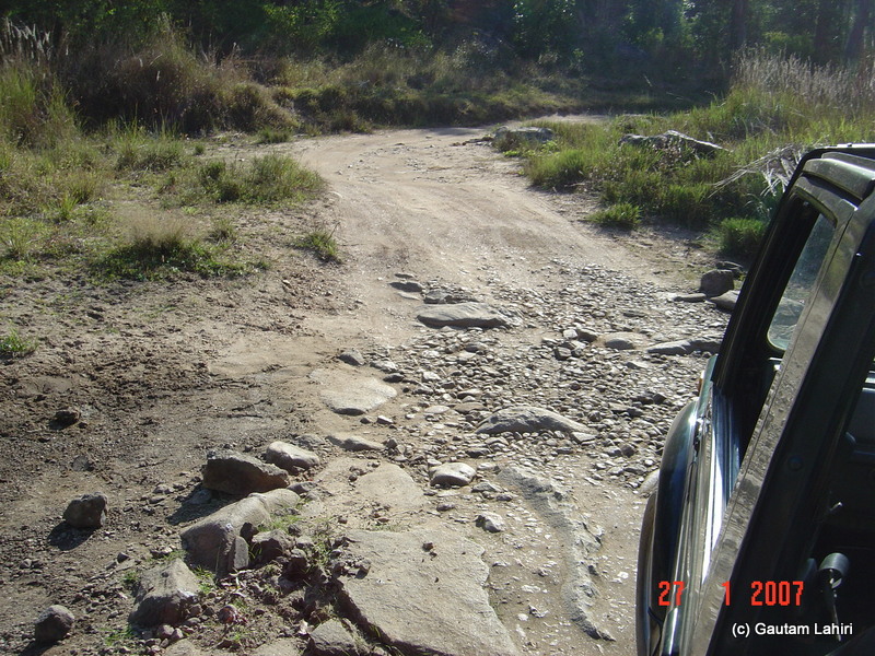 The Gypsy's engine yelled as the vehicle roared over the dry stream bed at Kanha forest by Gautam Lahiri