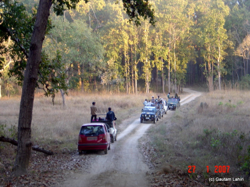 The last leg of our Kanha tour as we met other vehicles who were returning or making their way to explore Kanha. If I had the steering wheel under my control, perhaps I would have made a U-turn to disappear back into the wild at Kanha forest by Gautam Lahiri
