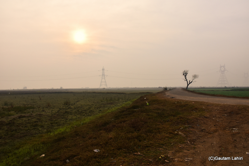 Chandu Bhudhera wetland visit by Gautam Lahiri