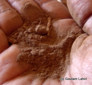 The soil and the rubble of the fort which transforms the dull metal to its electrifying texture at Bidar by Gautam Lahiri