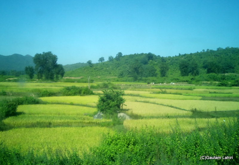 Country road to Santiniketan by gautam lahiri