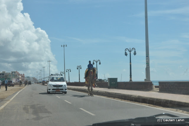 A modern-day MUV competes with a camel on the Puri beach road as the sea roars behind  at Puri, Bhubaneshwar, Odisha, India by Gautam Lahiri