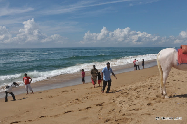 Groups of bathers found activities from horse and camel riding to playing frees bees and less
adventurous were touching the sea  at Puri, Bhubaneshwar, Odisha, India by Gautam Lahiri