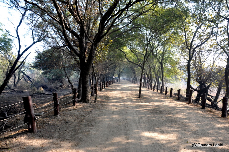 The central murram, dusty road of Sultanpur Bird Sanctuary, India by gautam lahiri