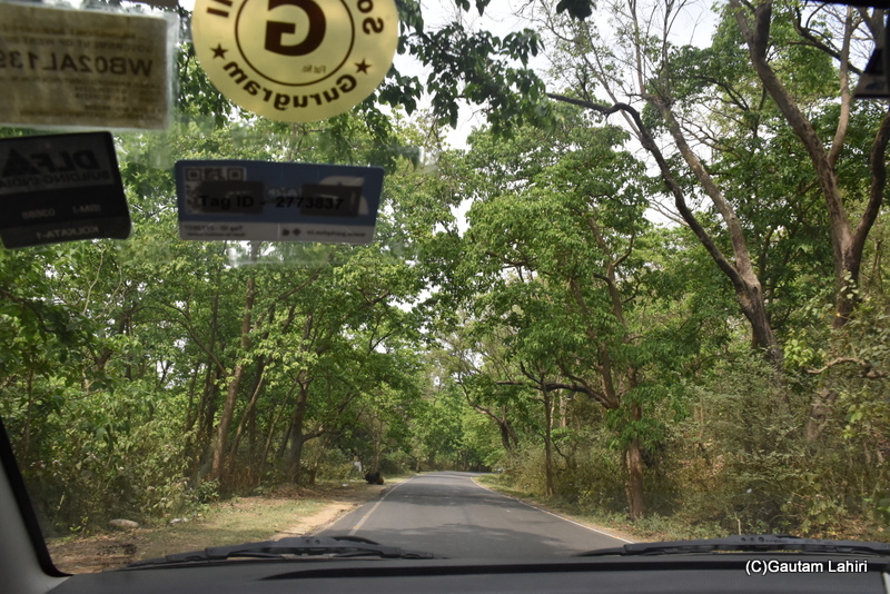 The Rajaji National Park, Rishikesh, India by gautam lahiri