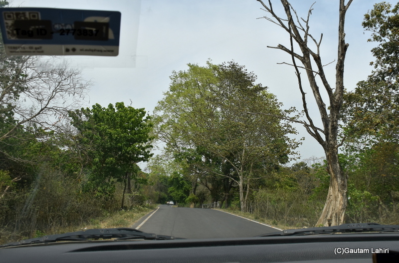 Driving through the dense forests of Rajaji Tiger Reserve by gautam lahiri