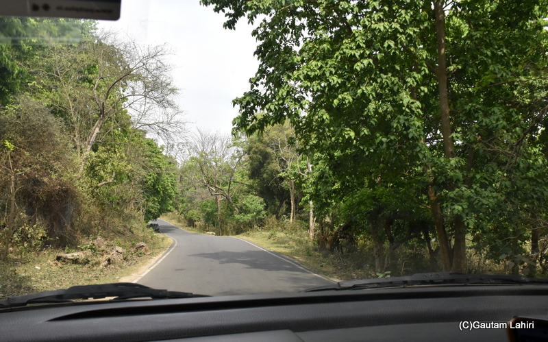 Driving through the dense forests of Rajaji Tiger Reserve by gautam lahiri
