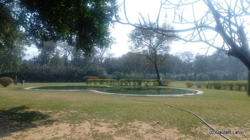 A neatly scooped-out waterhole, to satisfy the thirst of the swans by gautam lahiri