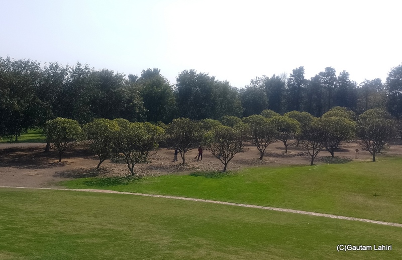 Lanscaping at its best, the Soka Gakkai Tree Garden had surprises everywhere by gautam lahiri