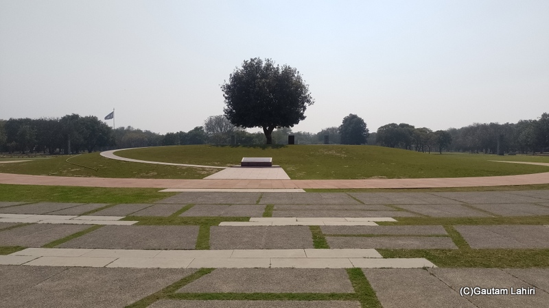 We bid farewell to the solitary Bodhi tree at the Soka Gakkai Tree Garden by gautam lahiri