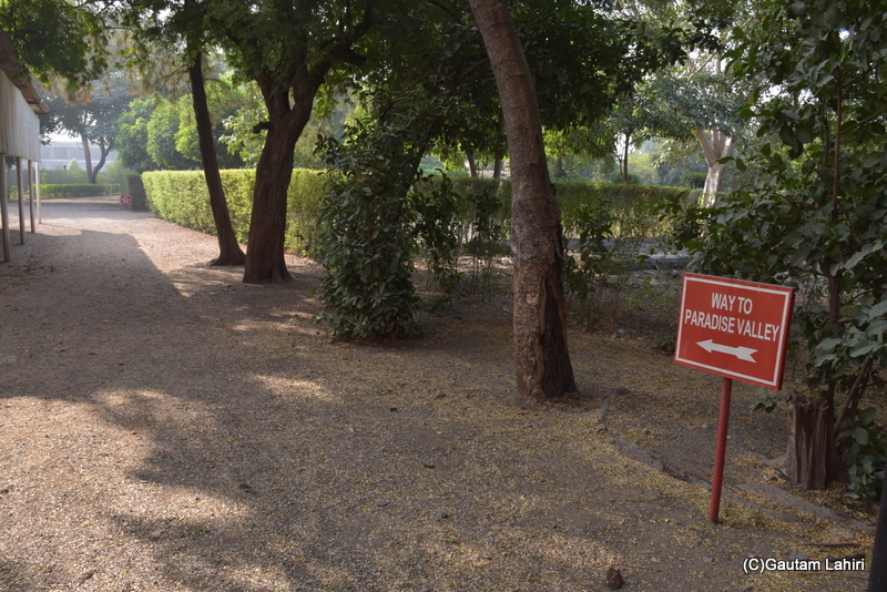 Paradise valley near the Japanese garden at Orchard Palace by gautam lahiri