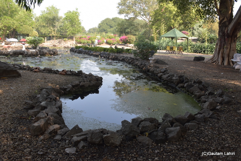 Trees engulfing on either side, the Koi Pond was bordered by stones. A shaded sitting area with wooden chairs awaited guests at the Orchard Palace by gautam lahiri