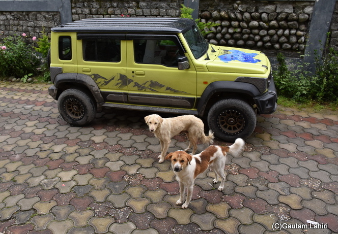 Our car for Ladakh Drive, Suzuki Jimny 4x4 Four Wheel drive by gautam lahiri