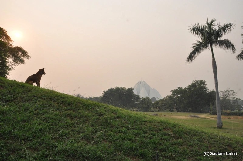 Baha’i (Lotus) Temple, New Delhi by gautam lahiri