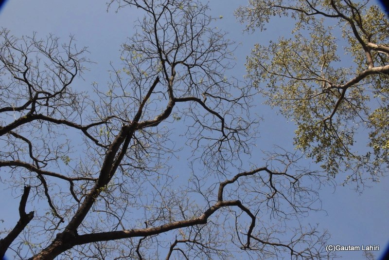 Sunder Nursery, New Delhi by gautam lahiri