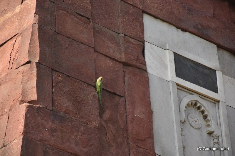 Ghiyasudin Tughlaq's tomb complex , New Delhi by gautam lahiri