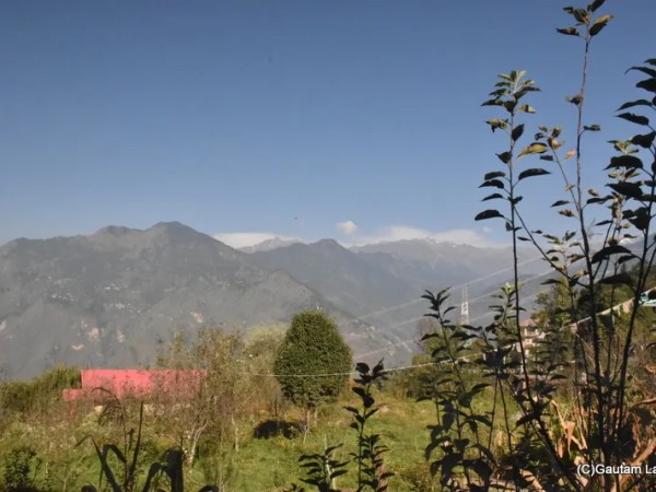 My 🏔️ Himachal Pradesh Diary 🌄 Serenity & Skyline: 🏡 Homestay Retreat in Sarahan – Gateway to the&nbsp;Himalayas