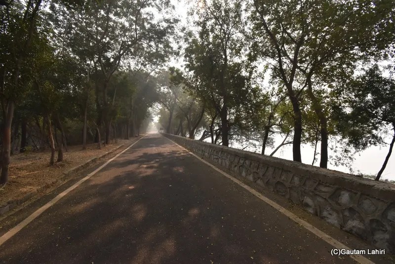 A lovely road at Okhla Bird Sanctuary, New Delhi by gautam lahiri