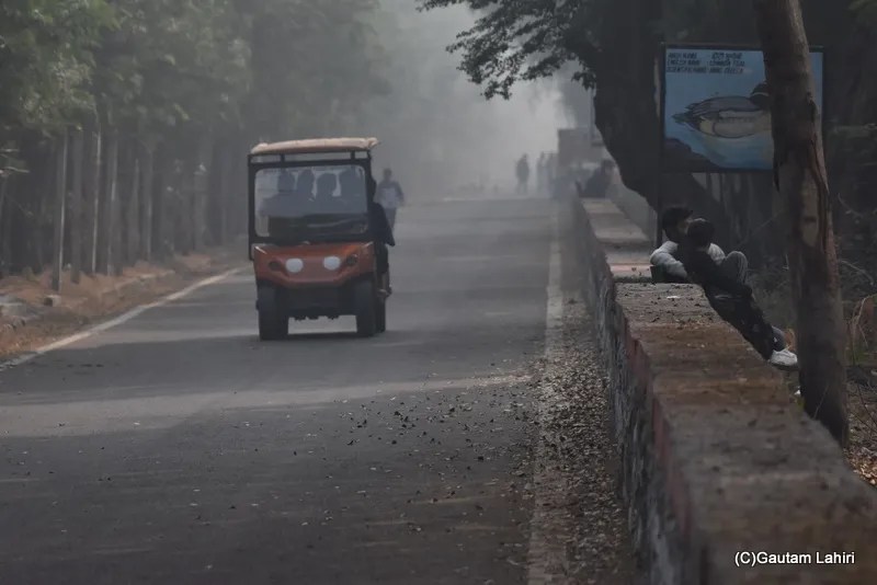 An electric cabbie at the okhla Bird Sanctuary wetland, New Delhi by gautam lahiri